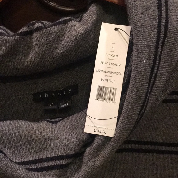 THEORY - Picture 2 of 7